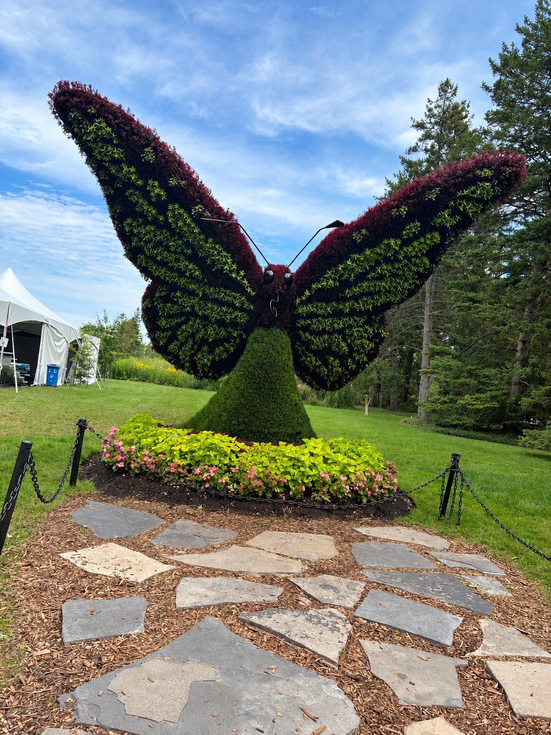 The Butterfly Garden