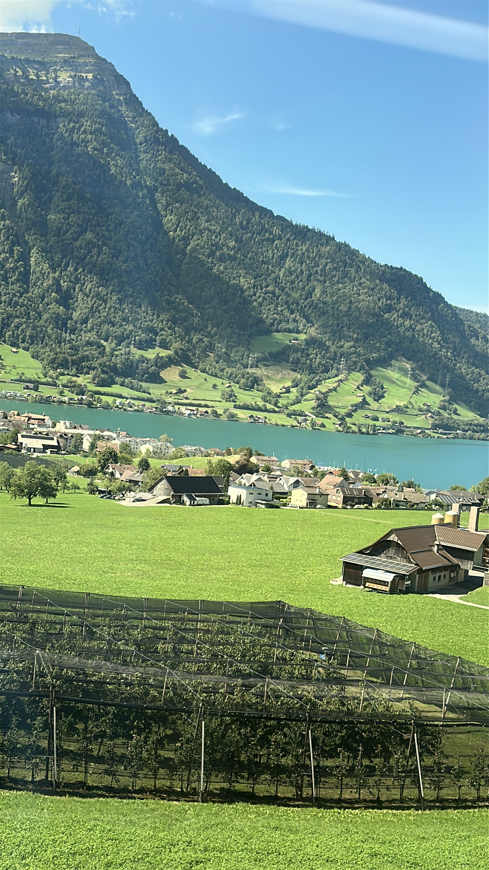 Valley Greens